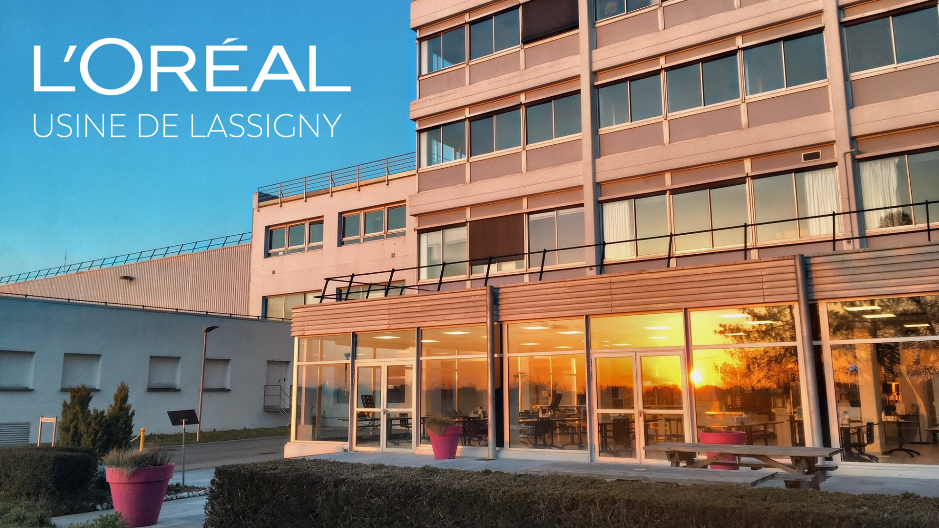 Logo L'Oréal